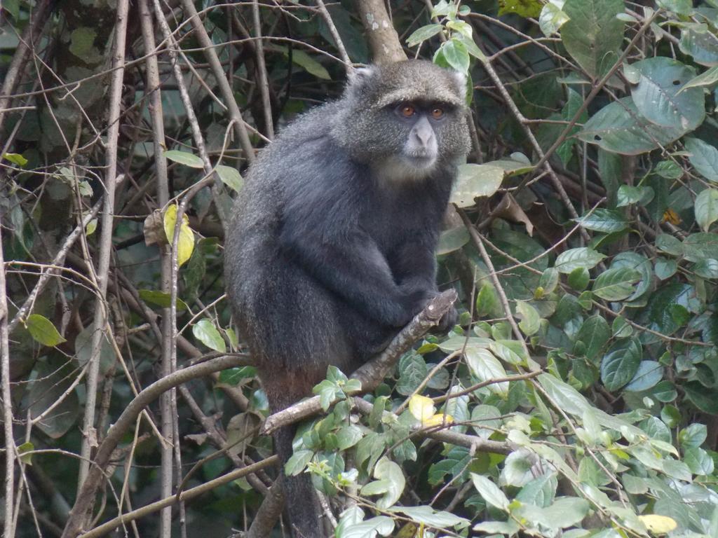 Songota Falls Lodge Arusha Esterno foto