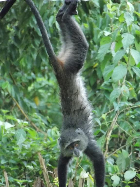 Songota Falls Lodge Arusha Camera foto