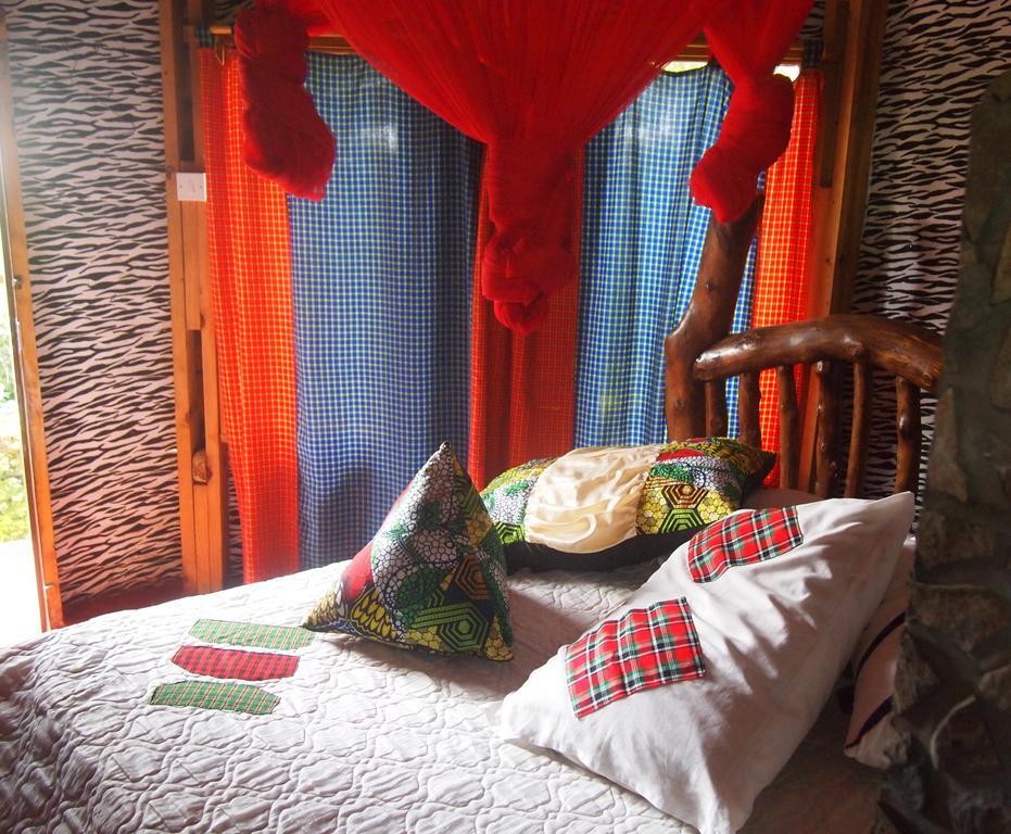 Songota Falls Lodge Arusha Camera foto